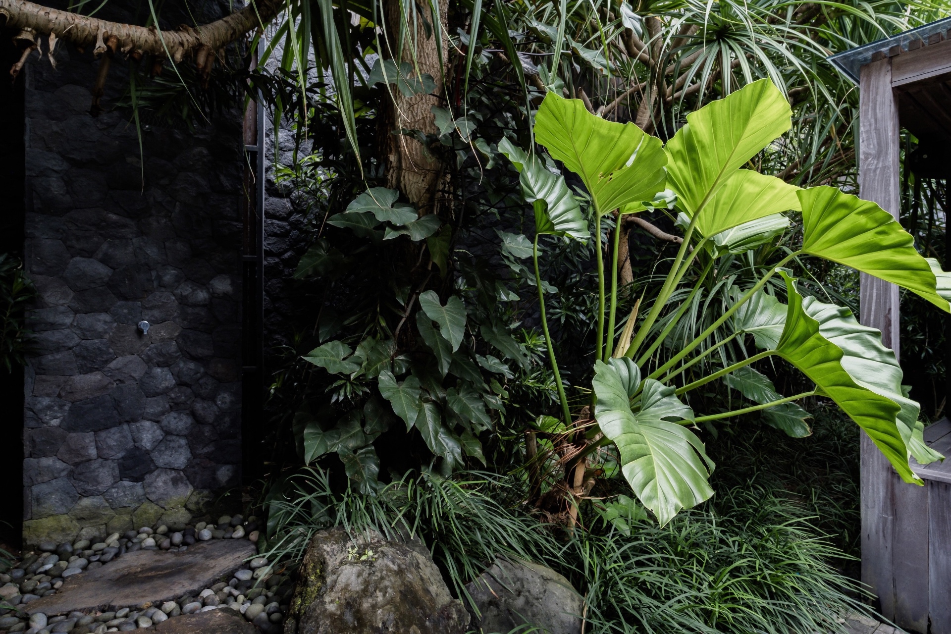 Black Origami villa